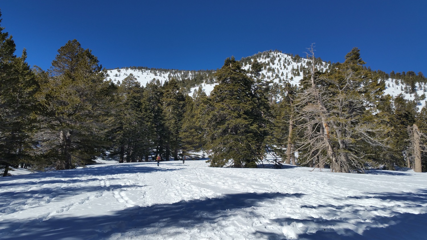 20170129_104954.jpg
