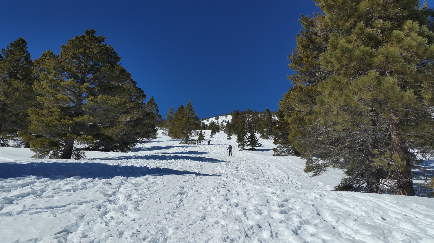 20170129_111416.jpg