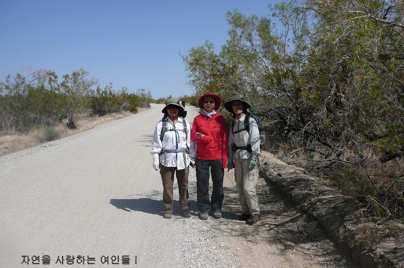 P1060049 - Copy.JPG