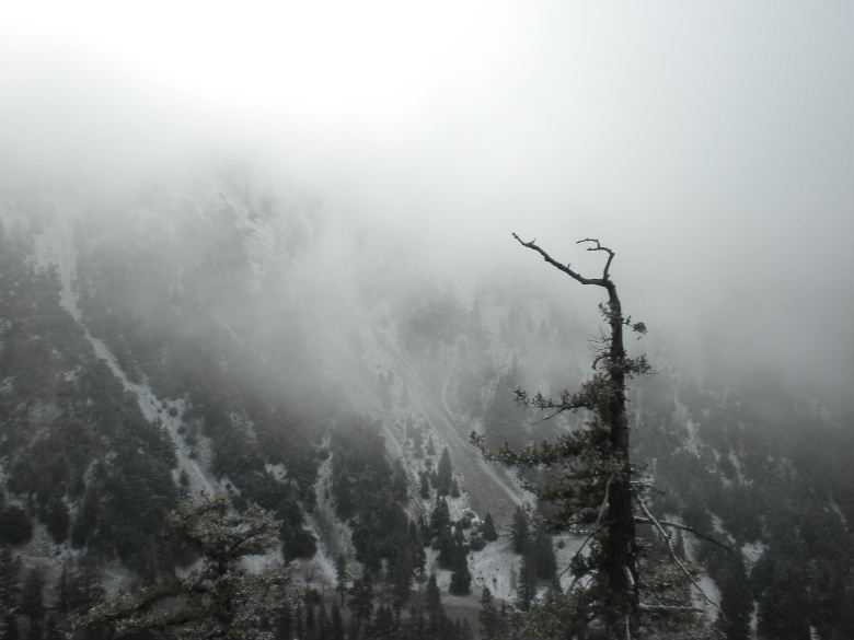Mtbaldy21212 024.JPG