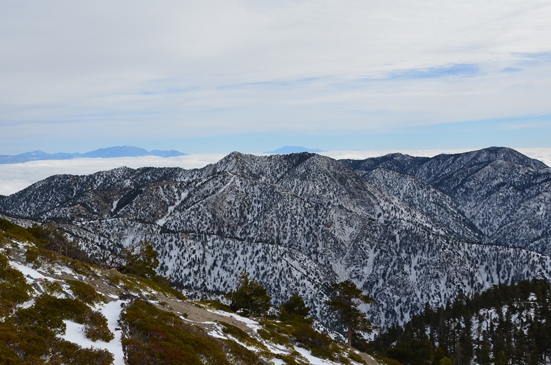 DSC_8248.JPG