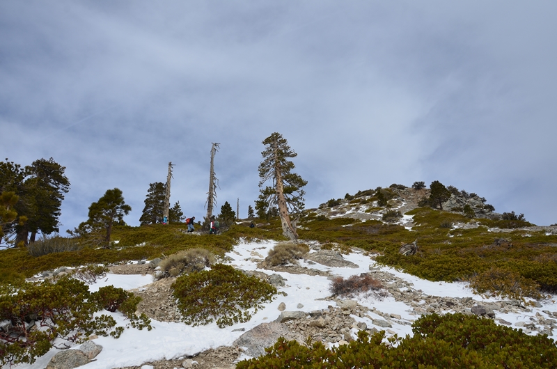 DSC_8247.JPG