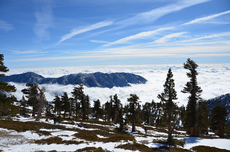 DSC_8292.JPG