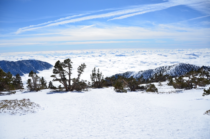 DSC_8309.JPG