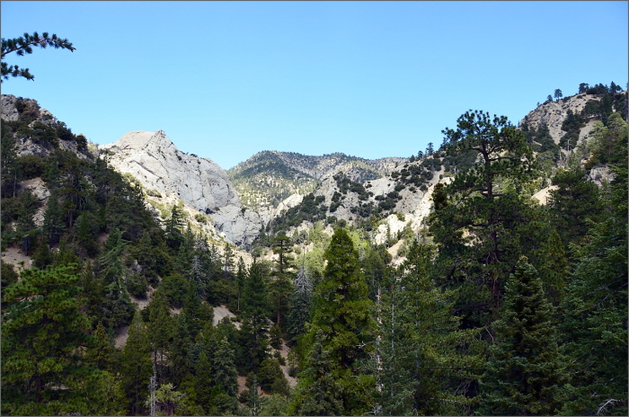 DSC_3489.JPG