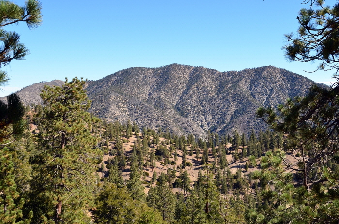DSC_3345.JPG