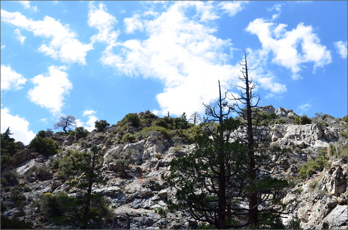 DSC_3474.JPG