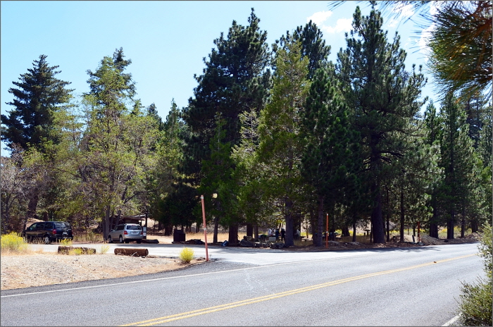 DSC_3497.JPG