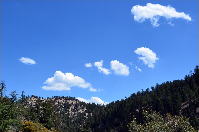 DSC_3447.JPG