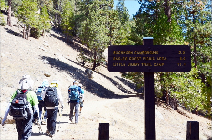 DSC_3403.JPG