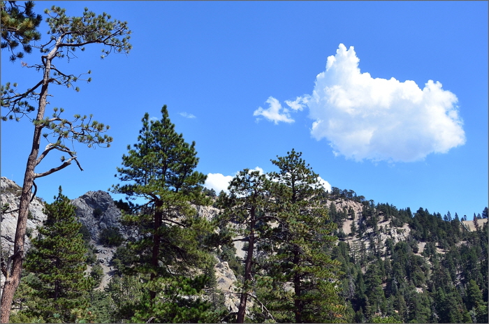 DSC_3460.JPG