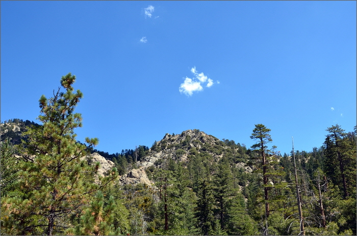 DSC_3435.JPG