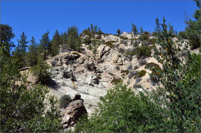 DSC_3413.JPG