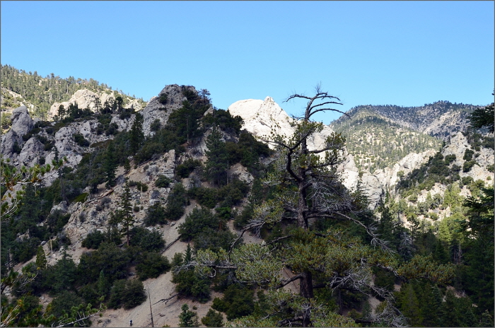 DSC_3491.JPG