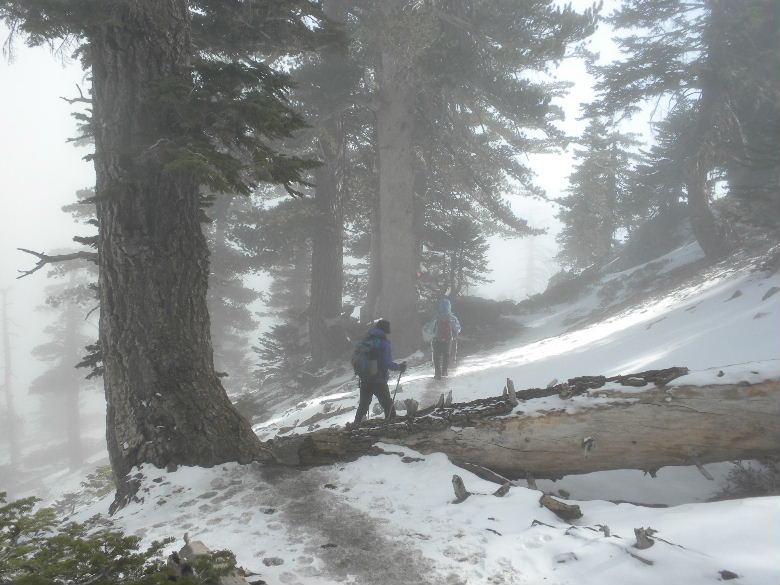 Mtbaldy21212 060.JPG