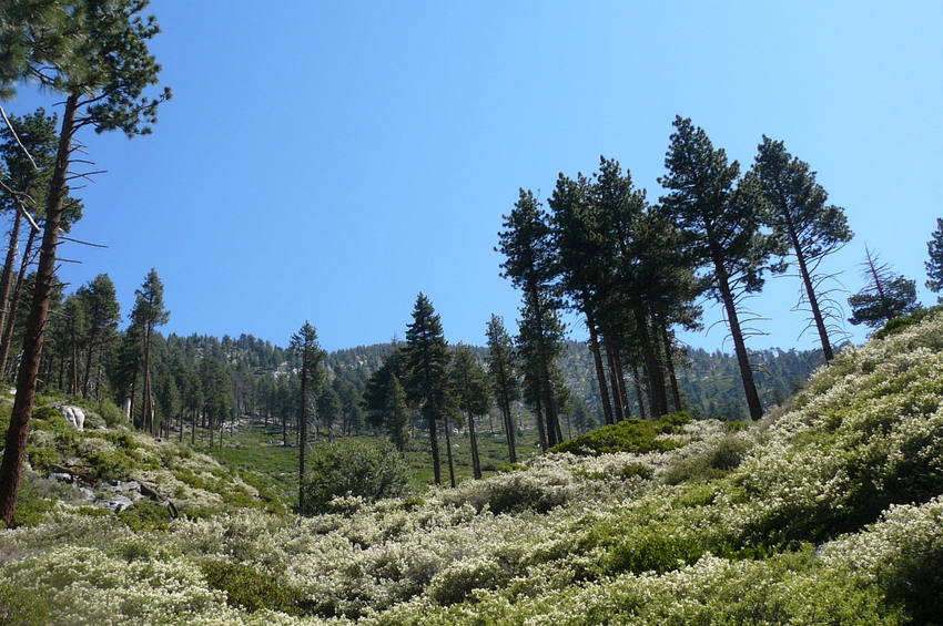 P1060424.JPG