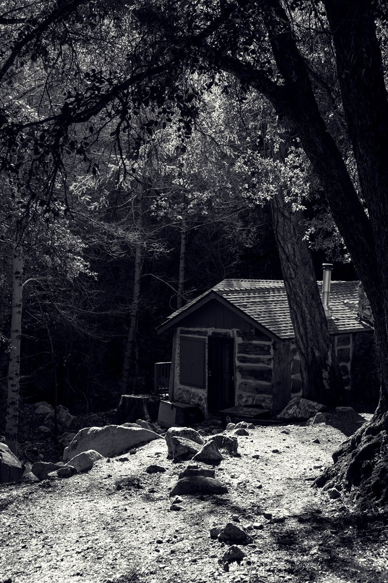 Timber  (11).jpg