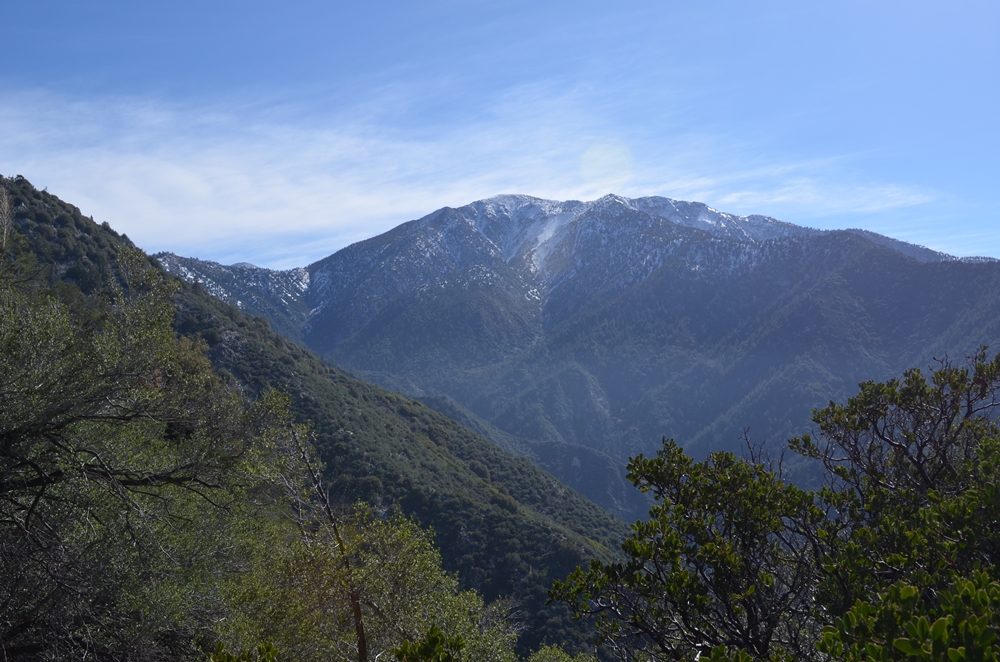 DSC_0125.JPG