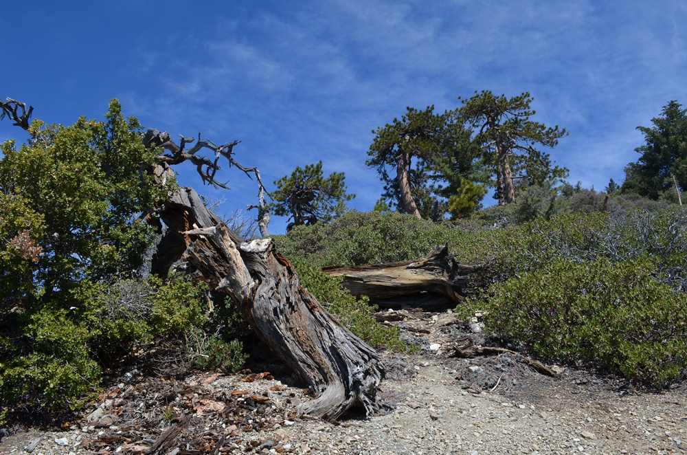 DSC_0165.JPG