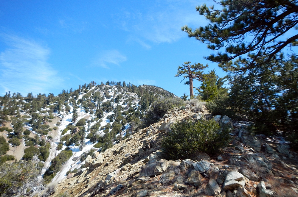 DSCN3696.JPG