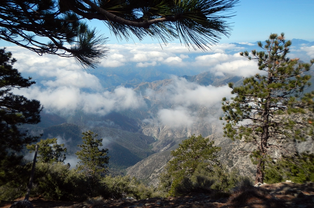 DSCN3690.JPG