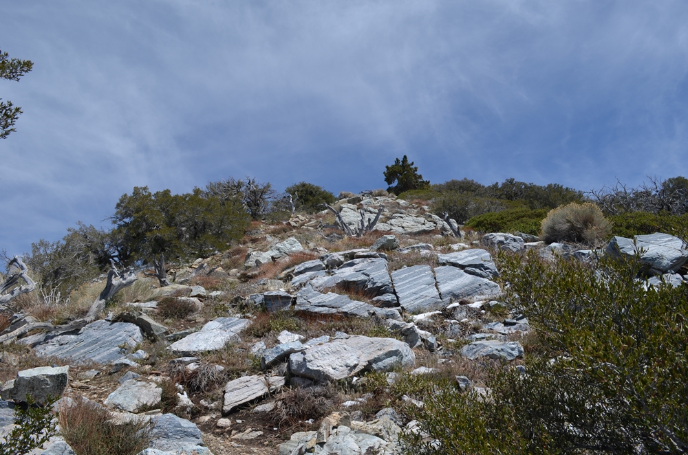 DSC_0187.JPG