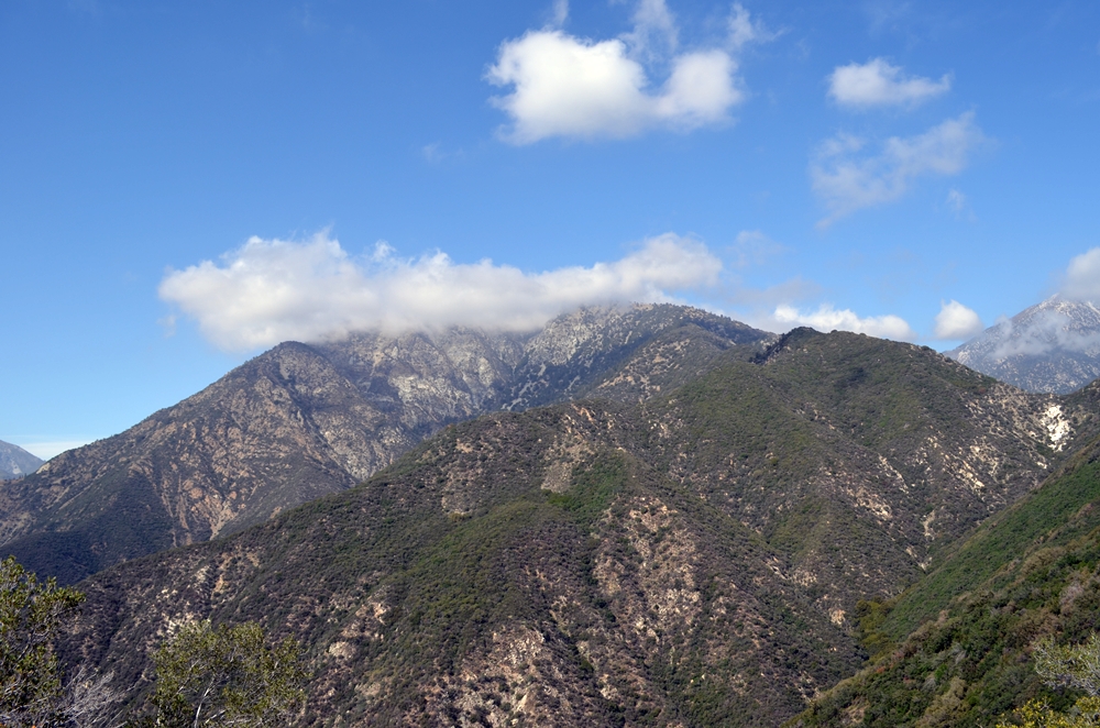 DSC_0342.JPG