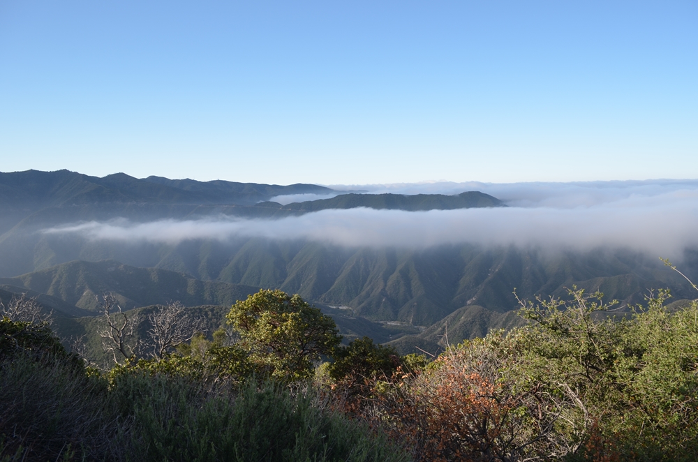 DSC_0080.JPG