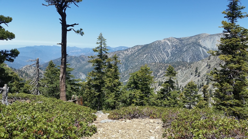 20170604_113224.jpg