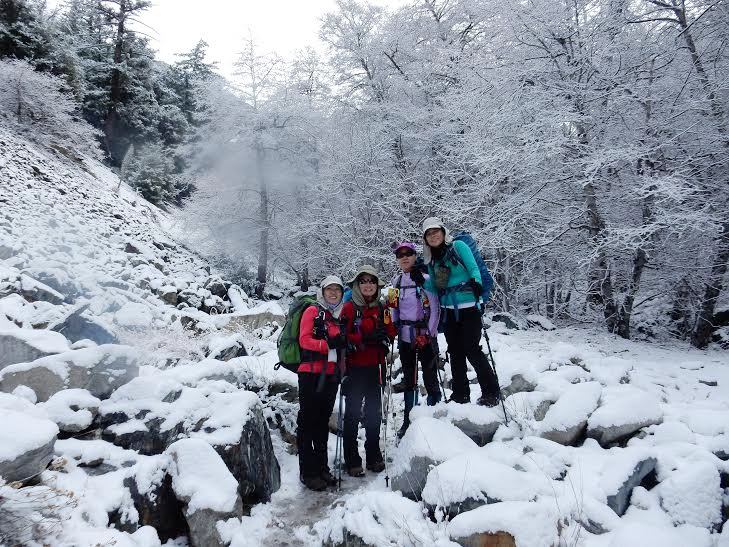 y5.jpg