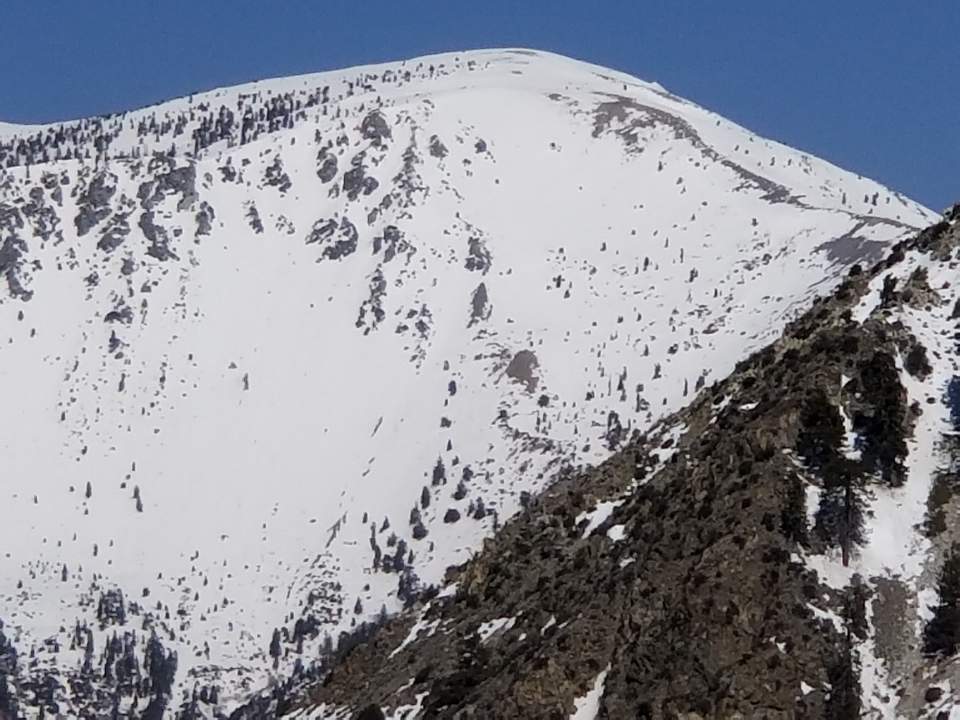 n2.jpg