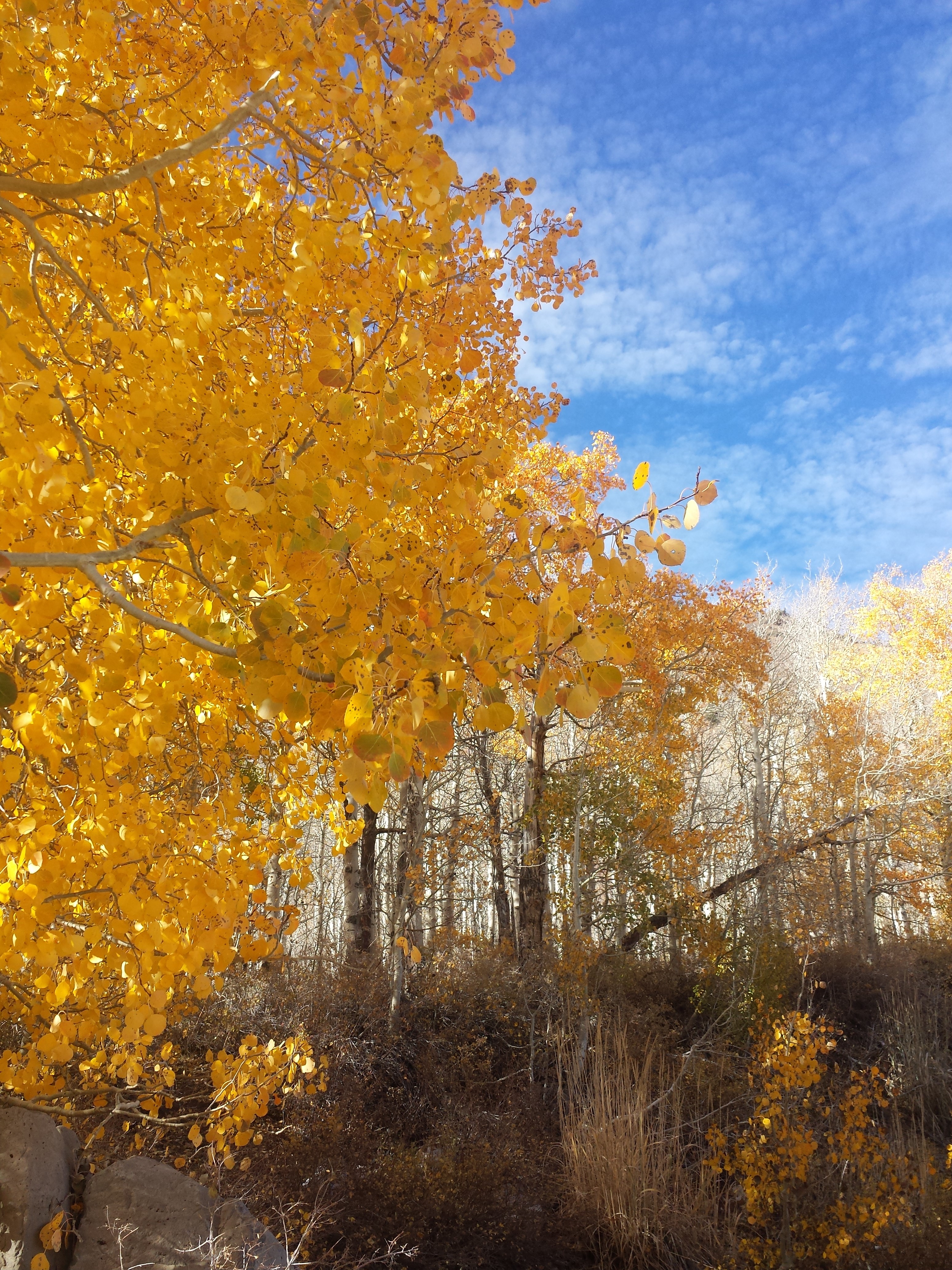 20141011_153438.jpg