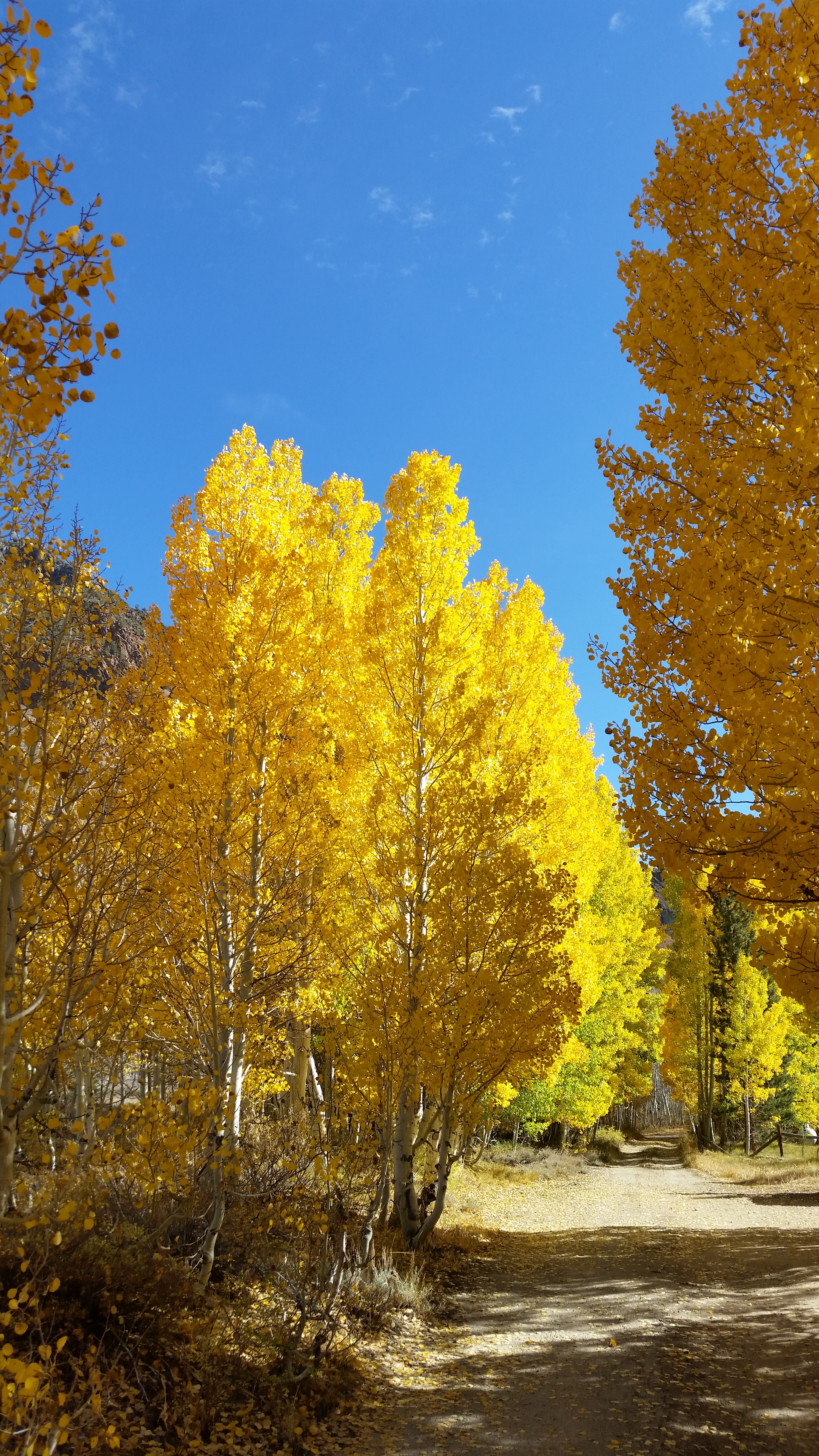 20141011_152018.jpg