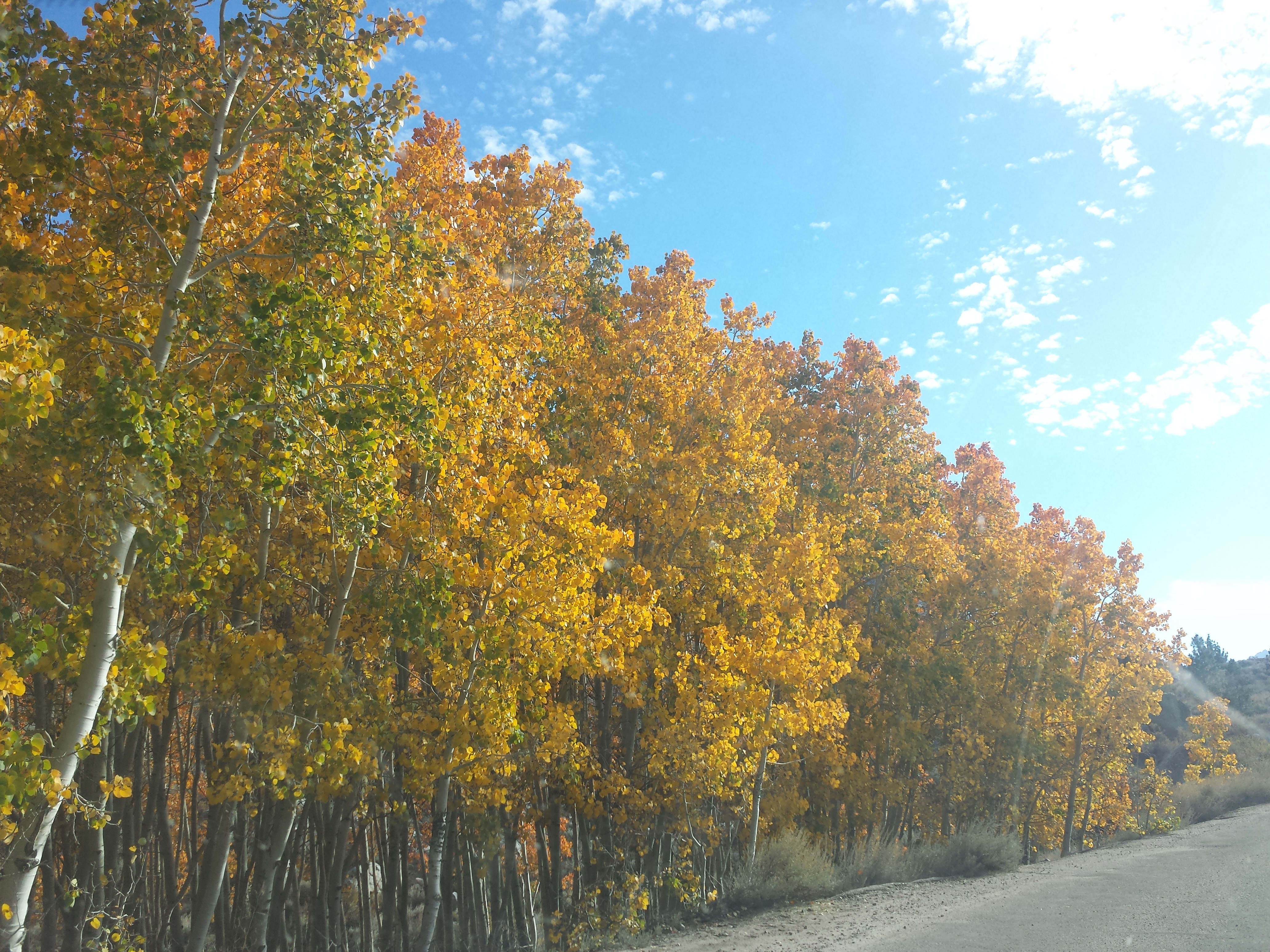 20141011_155723.jpg