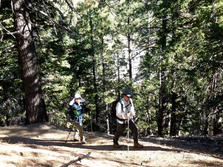 badenpowell1115 013.JPG