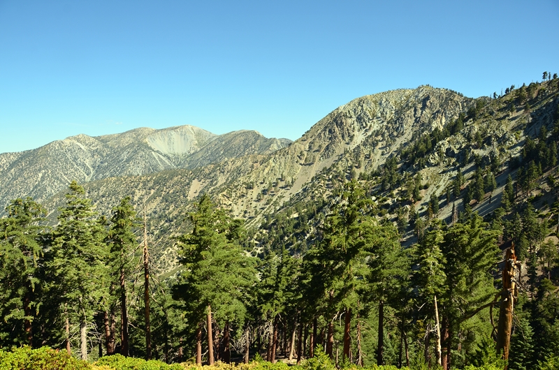 DSC_6323.JPG