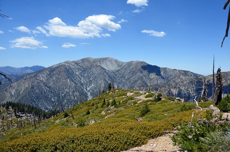 DSC_6452.JPG