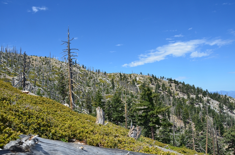 DSC_6358.JPG