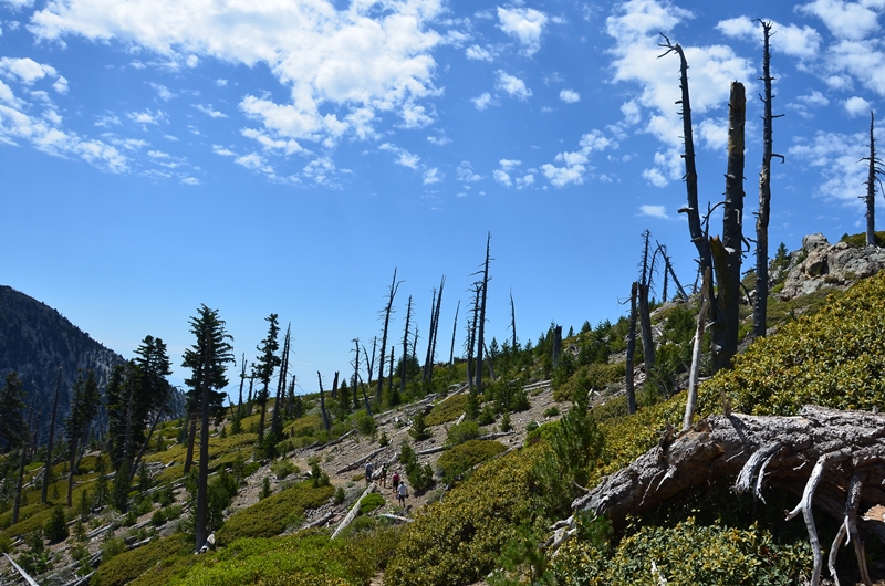DSC_6348.JPG