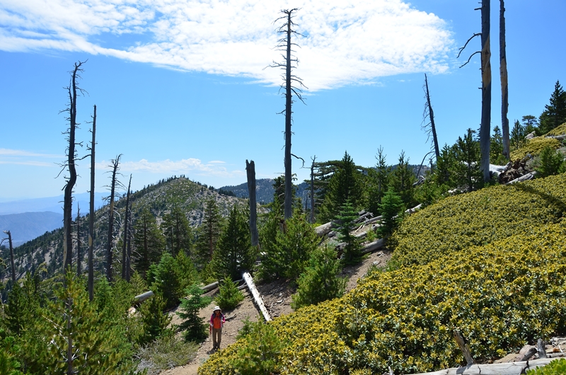DSC_6354.JPG