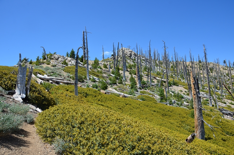 DSC_6366.JPG