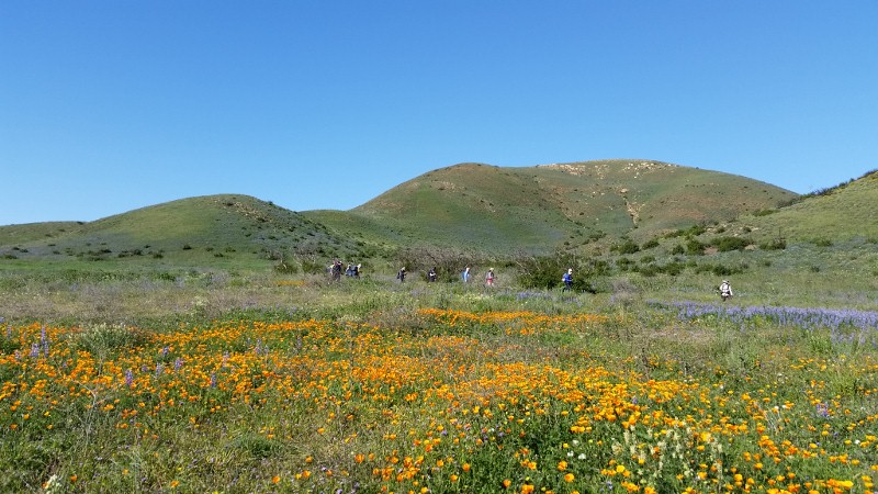 20150308_101353 (800x450).jpg