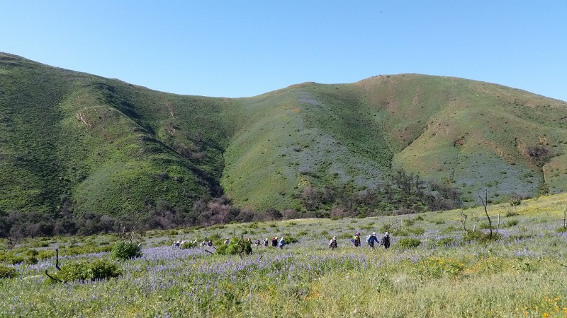 20150308_104406 (800x450).jpg