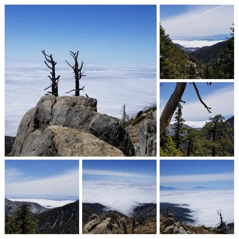 20180520_181345-COLLAGE.jpg