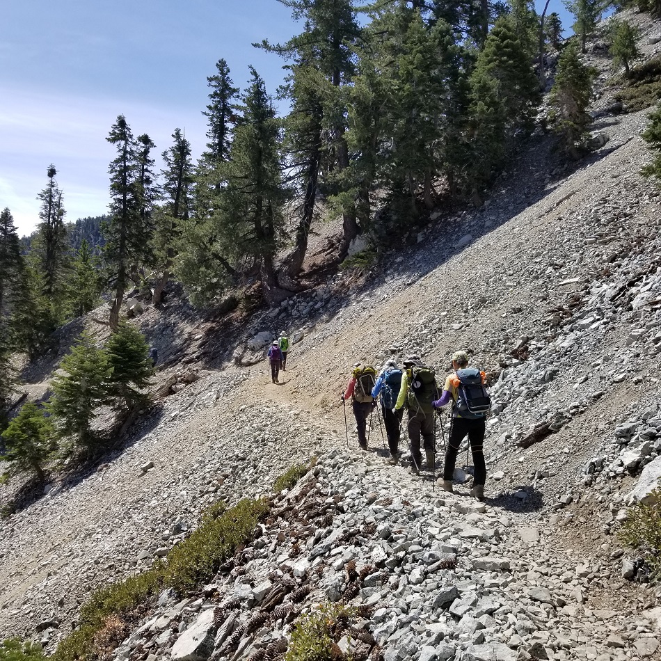 20180520_103559.jpg