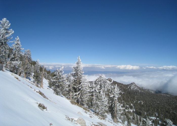 San Jacinto Peak 051.jpg