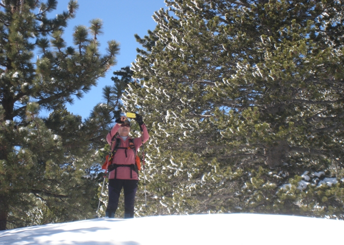 San Jacinto Peak 035.jpg