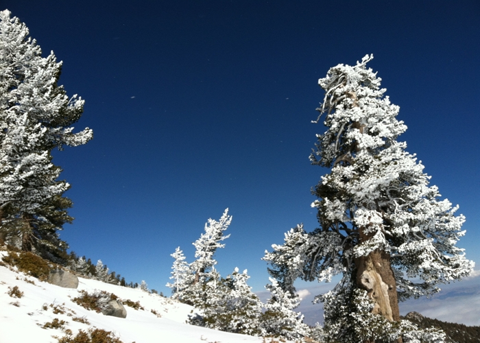San Jacinto Peak 066.jpg