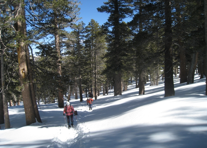 San Jacinto Peak 028.jpg