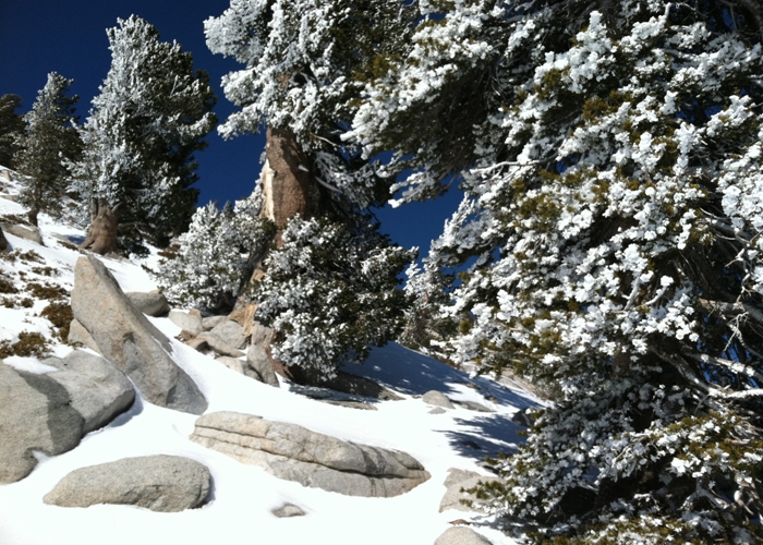 San Jacinto Peak 068.jpg